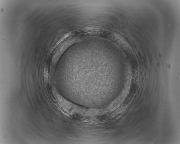 X0000087401298200704271637