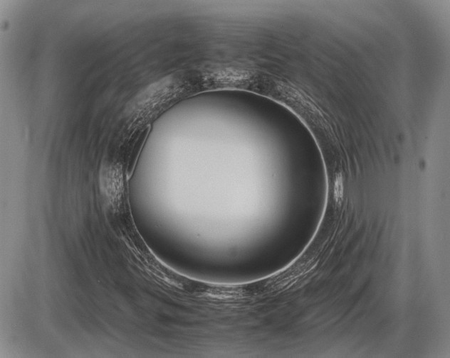 X0000087401299200704271637