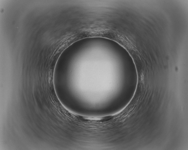 X0000087401300200704271637