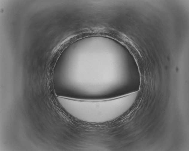X0000087401304200704271637