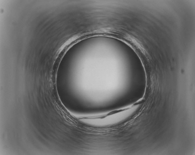 X0000087401308200704271637