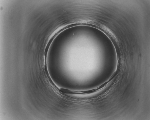 X0000087401324200704271637