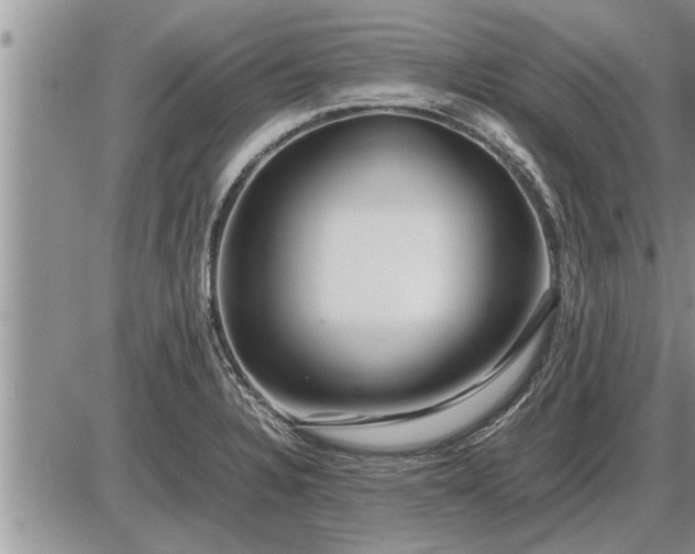 X0000087401328200704271637
