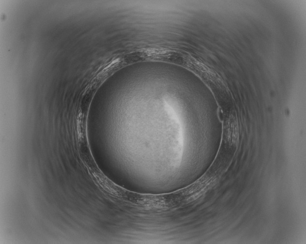 X0000087401346200704271637