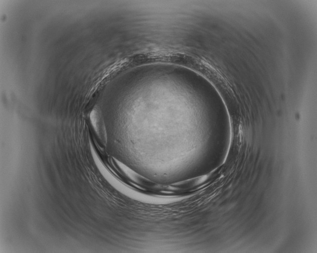 X0000087401348200704271637