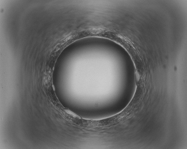 X0000087401349200704271637