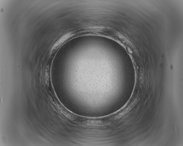 X0000087401354200704271637