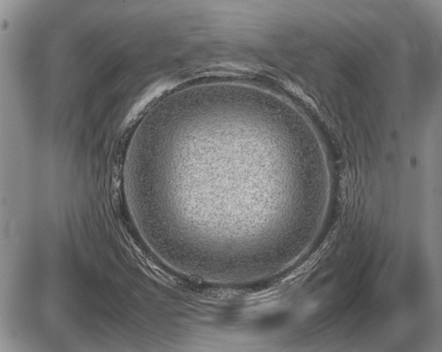 X0000087401355200704271637