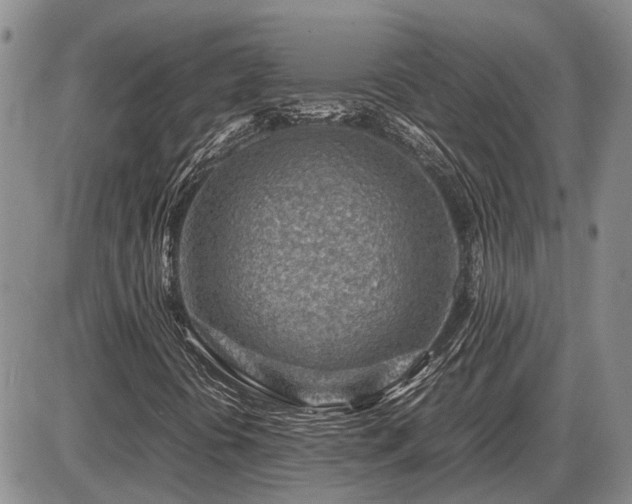 X0000087401394200704271635