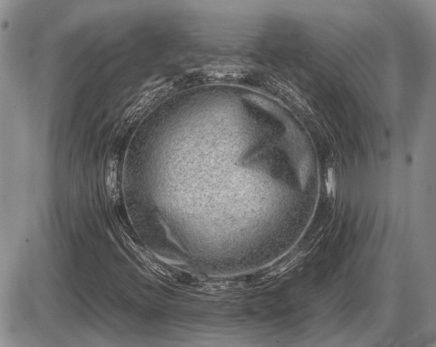 X0000087401396200704271635