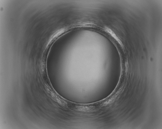 X0000087401405200704271635