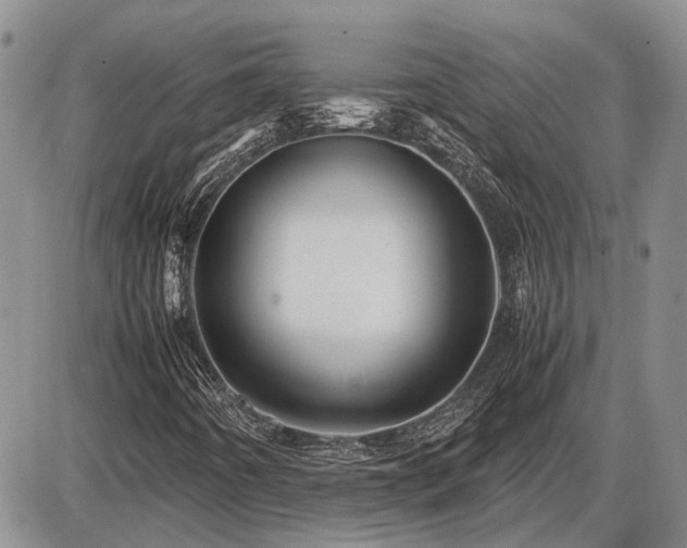 X0000087401442200704271635