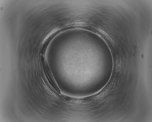 X0000087401450200704271635