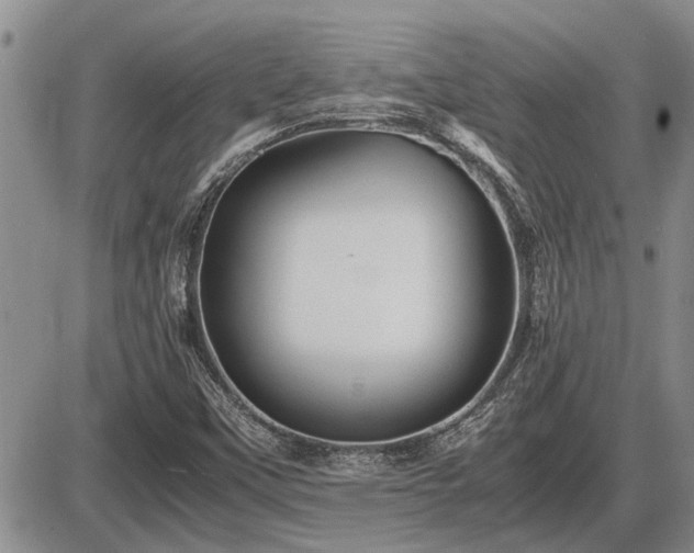 X0000087401451200704271635