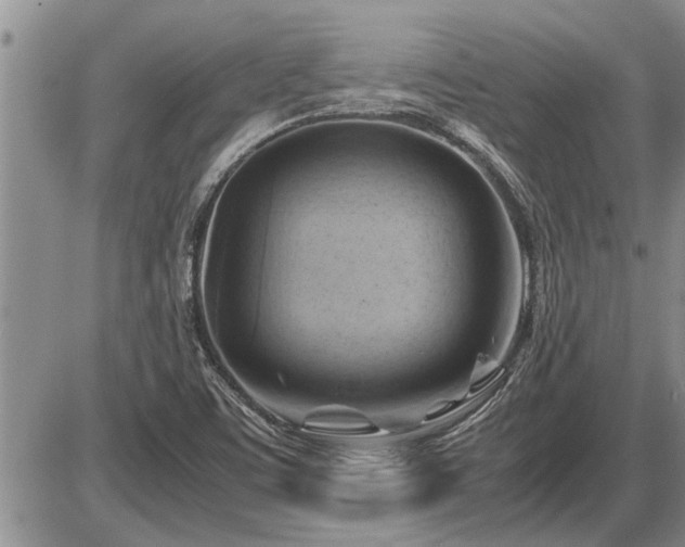 X0000087401459200704271635