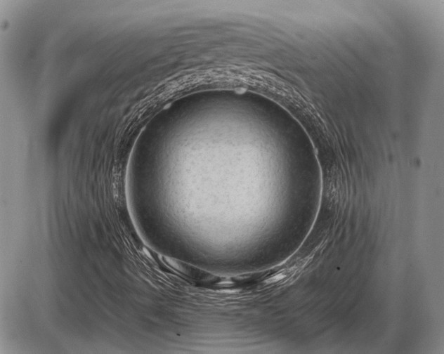 X0000087401490200704271634