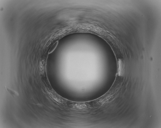 X0000087401491200704271634
