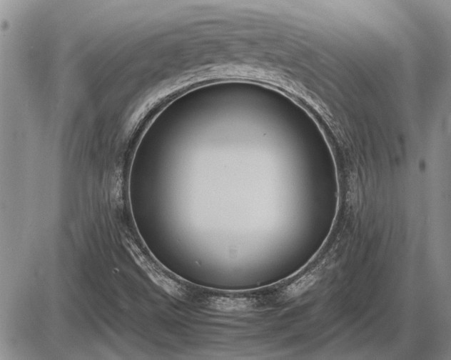 X0000087401499200704271634