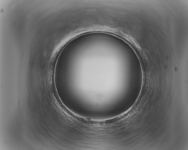 X0000087401504200704271634