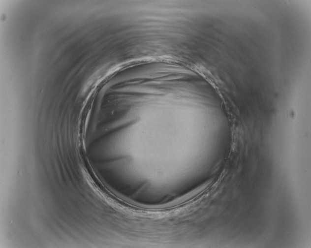 X0000087400002200705042047