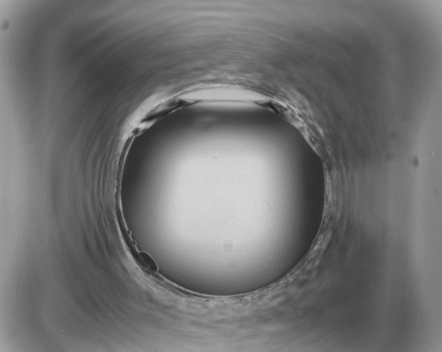 X0000087400003200705042047