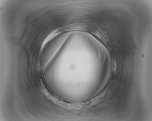 X0000087400004200705042047