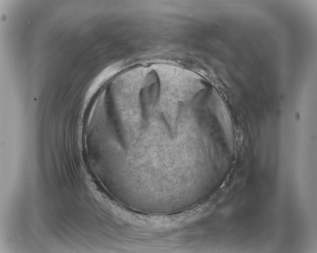 X0000087400006200705042047