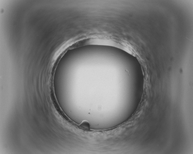 X0000087400007200705042047