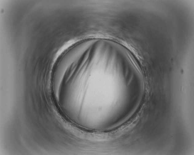 X0000087400008200705042047