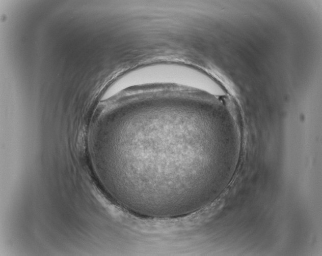 X0000087400009200705042047