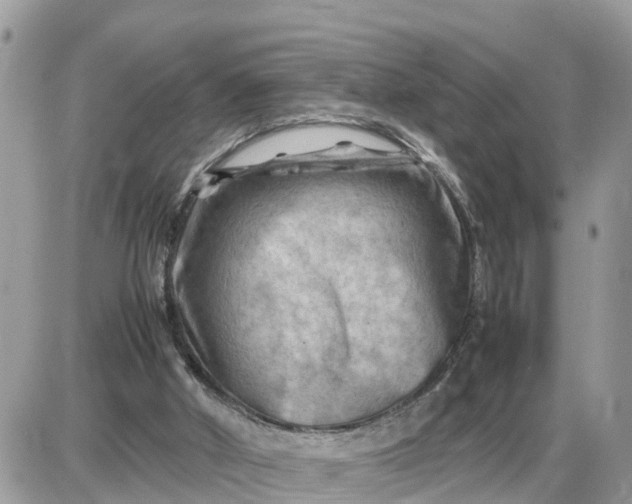 X0000087400010200705042047