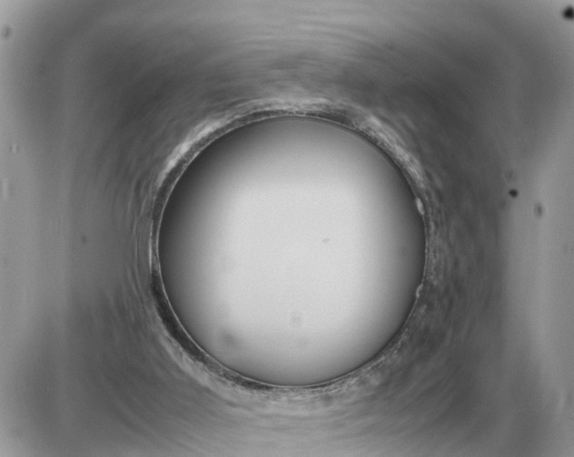 X0000087400011200705042047