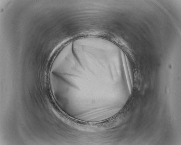 X0000087400012200705042047