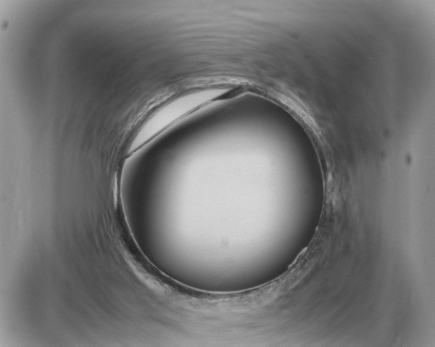 X0000087400013200705042047