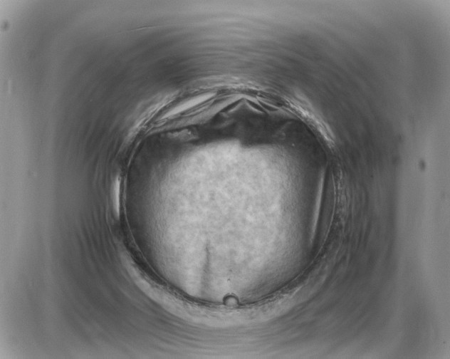 X0000087400014200705042047