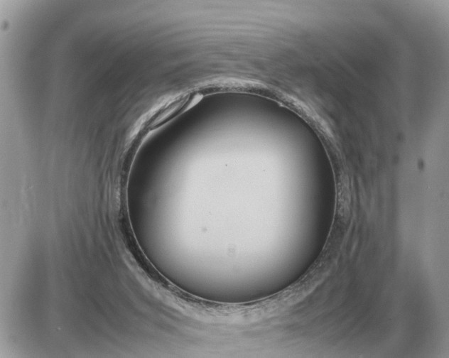 X0000087400015200705042047