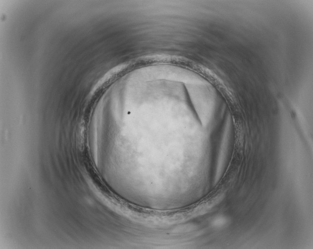 X0000087400016200705042047