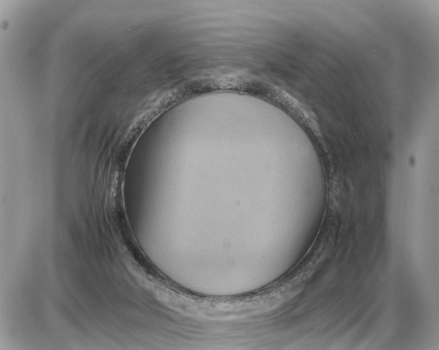 X0000087400018200705042047