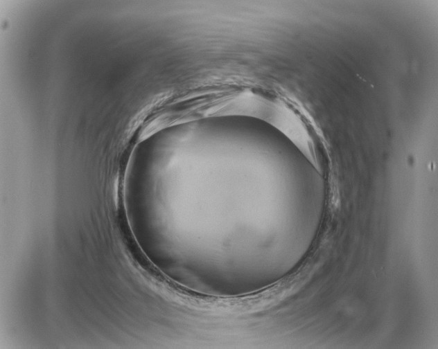 X0000087400019200705042047