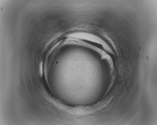 X0000087400020200705042047