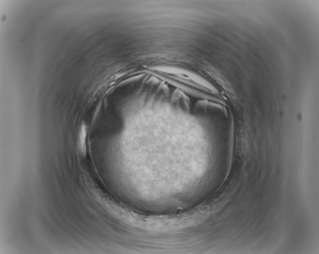 X0000087400022200705042047