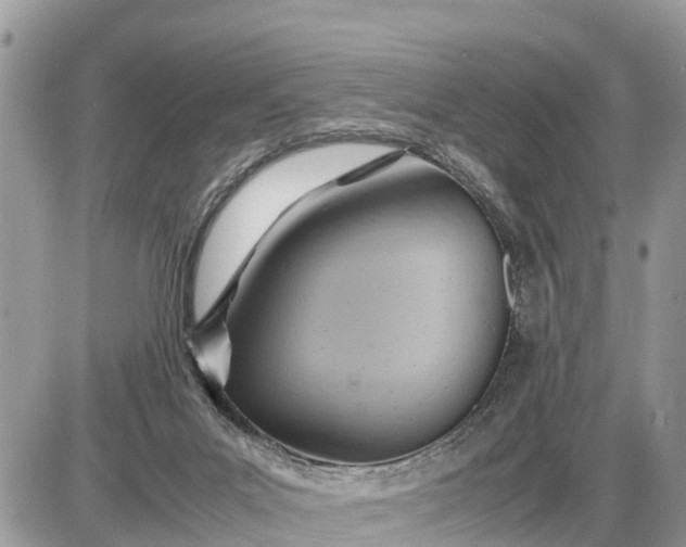 X0000087400023200705042047