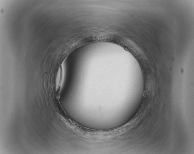 X0000087400025200705042047