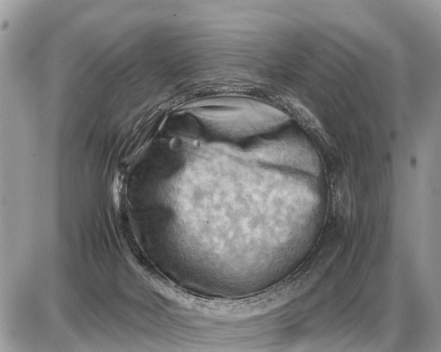 X0000087400026200705042047