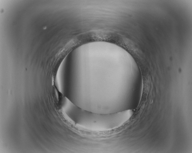 X0000087400027200705042047