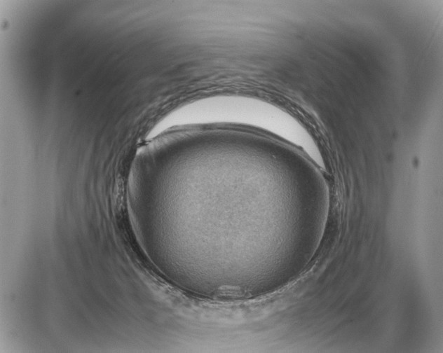 X0000087400029200705042046