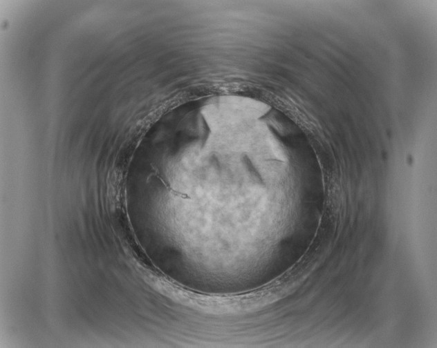 X0000087400030200705042046