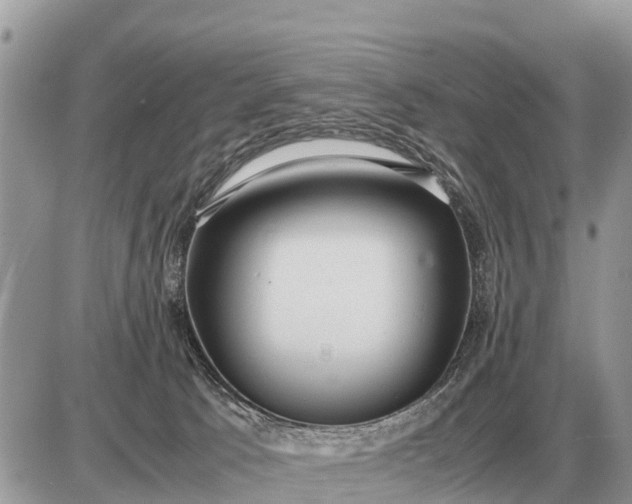 X0000087400033200705042046