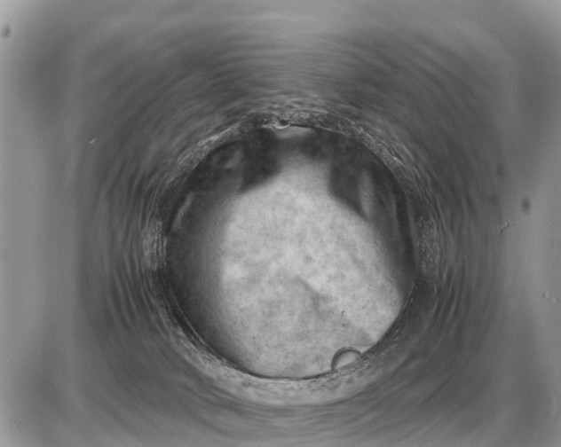 X0000087400034200705042046