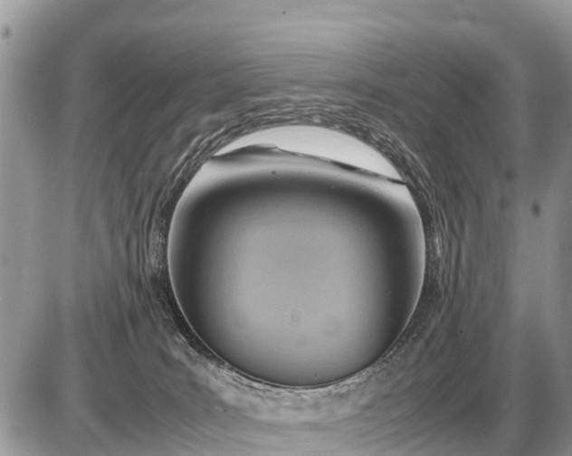 X0000087400035200705042046